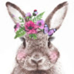 Meet your Posher, Sulma